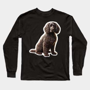 American Water Spaniel Long Sleeve T-Shirt